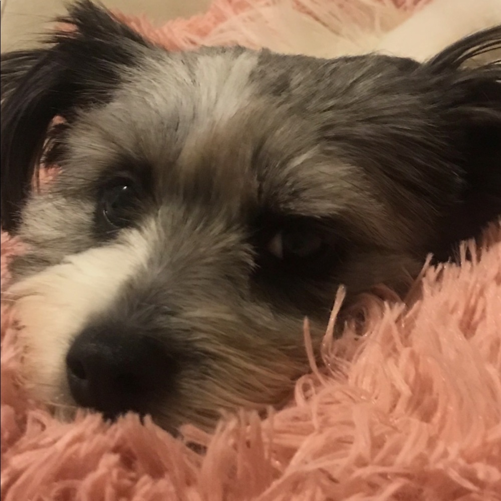 Meet your Posher, Cristina